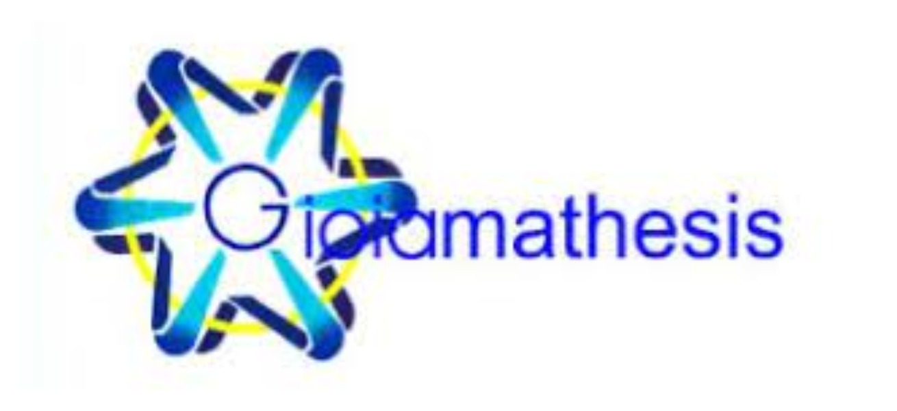 Bando XXXIII competizione Gioiamathesis
